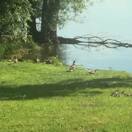 Casa Laura Διαμέρισμα Dormelletto